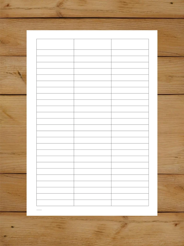 1 шт А4 Журнал пустой (пустографка) на 3 колонки одинаковой ширины 40 страниц