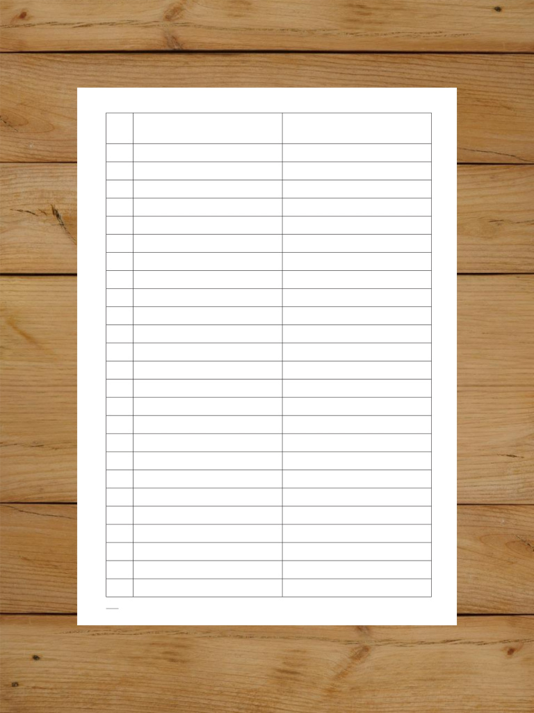 1 шт А4 Журнал пустографка на 3 колонки разной ширины 40 страниц